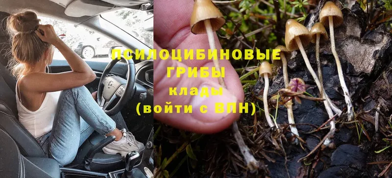 Псилоцибиновые грибы Magic Shrooms  Костомукша 